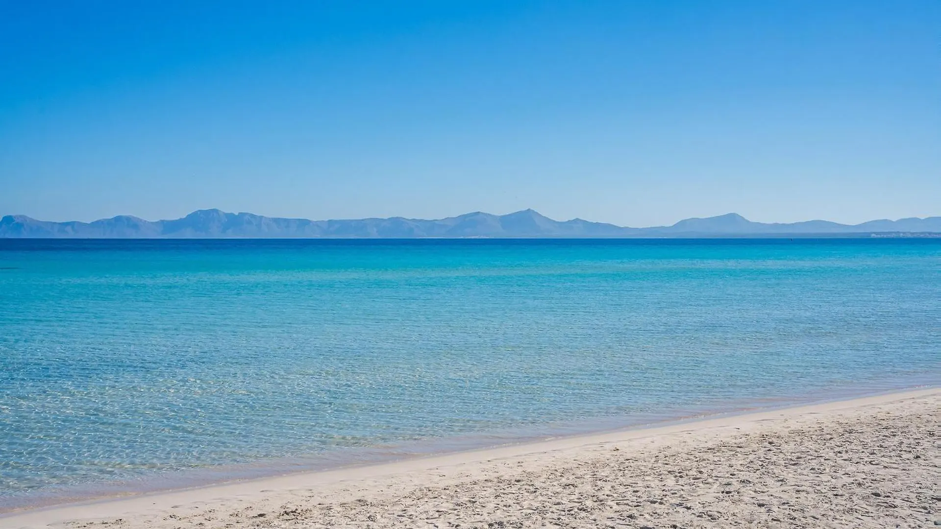 Ideal Property Mallorca - Casa Pinar Alcudia  Spain